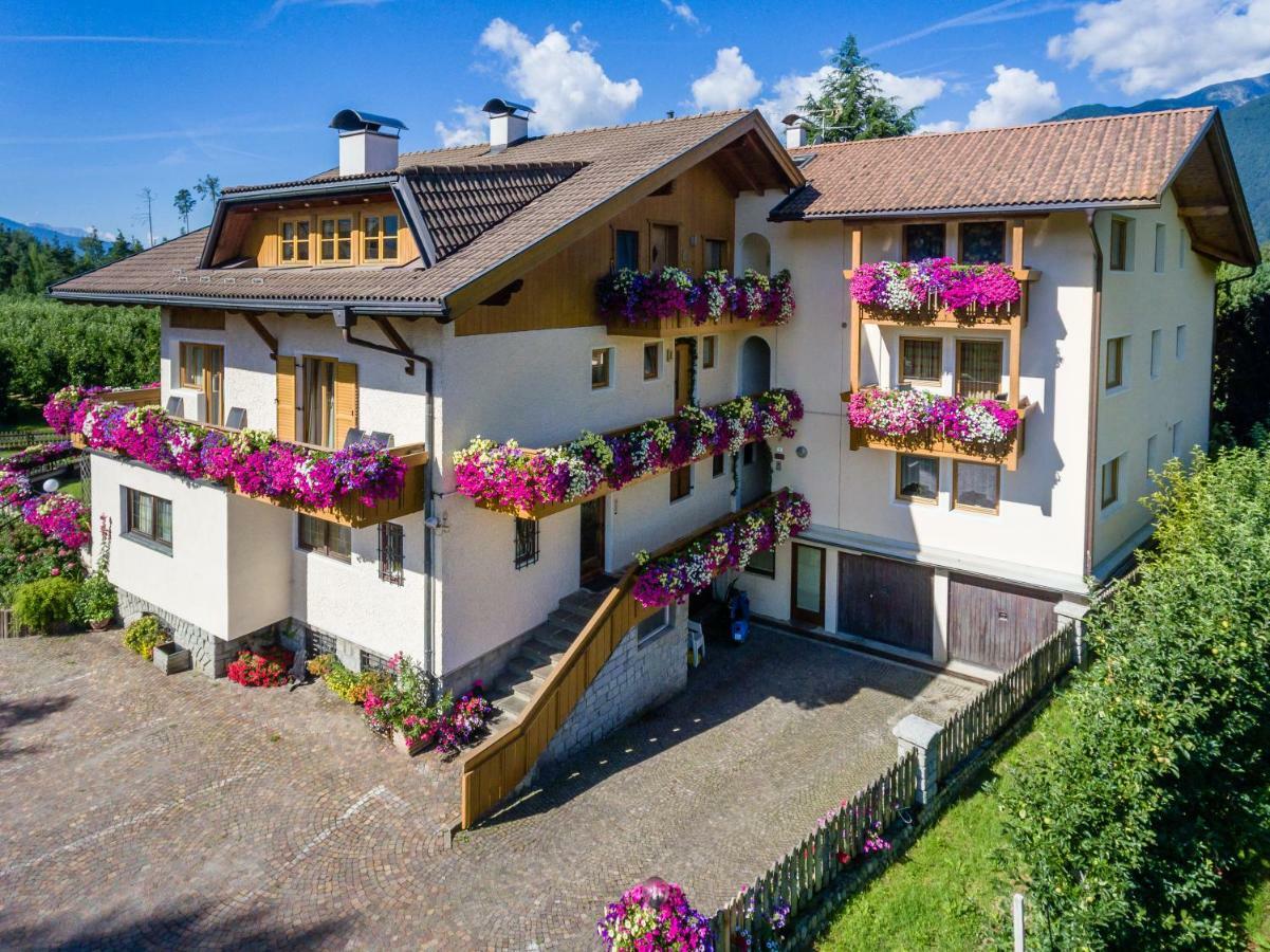 Pension Haus Am See Natz-Schabs المظهر الخارجي الصورة
